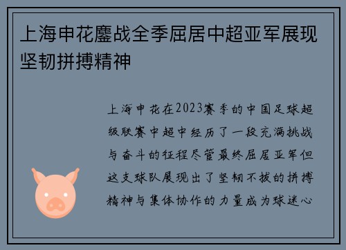上海申花鏖战全季屈居中超亚军展现坚韧拼搏精神